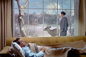 Tout ce que le ciel permet (All that heaven allows) - Douglas Sirk - 1956 dans * 730 AllThatHeavenAllowsstill