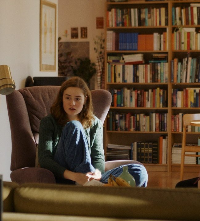 Dag Johan Haugerud's DREAMS