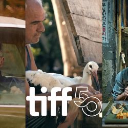 TIFF 2025 Collage with TIFF Logo