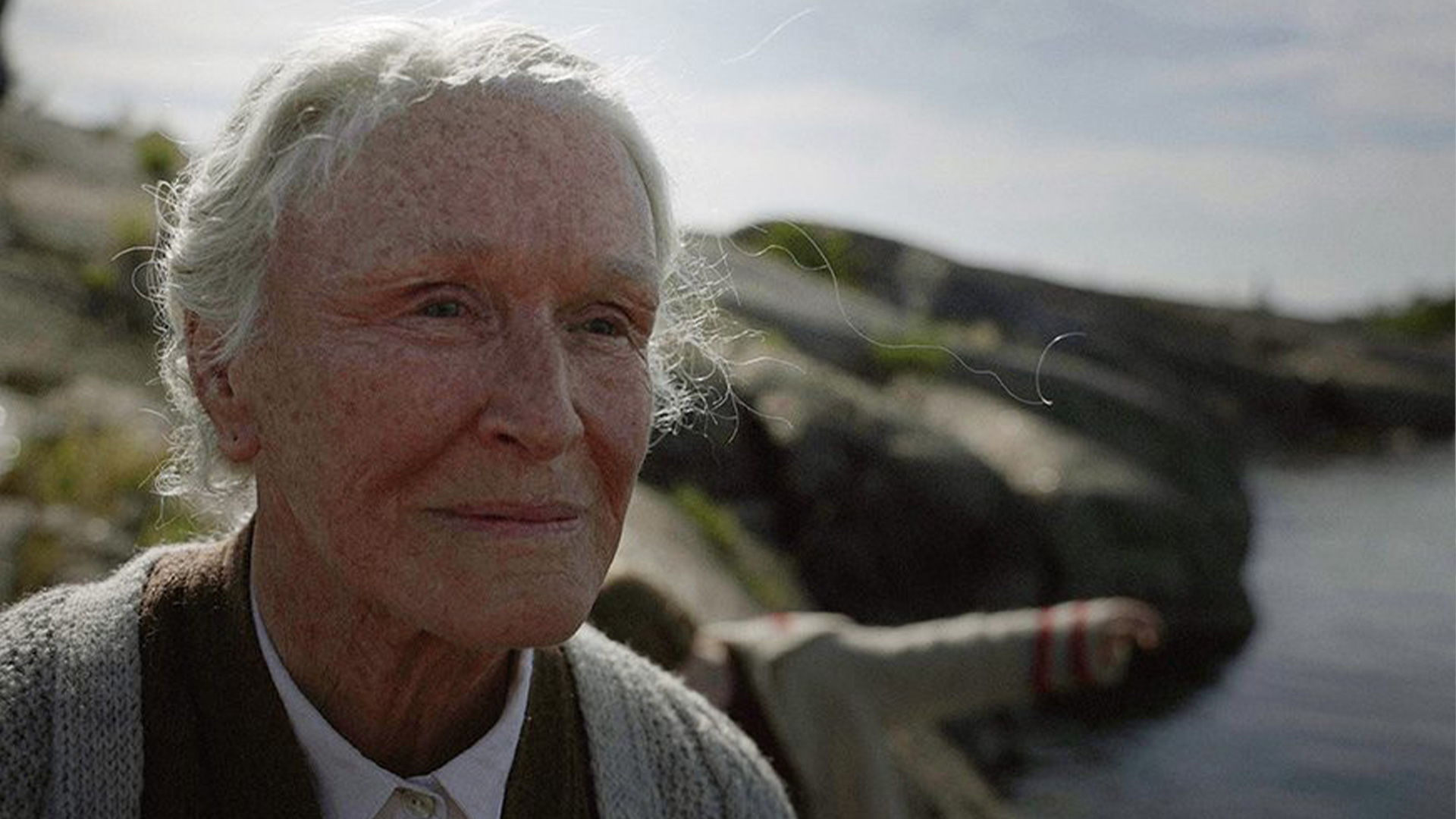 Glenn Close in THE SUMMER BOOK
