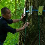 Tony Leung Chiu-Wai in SILENT FRIEND