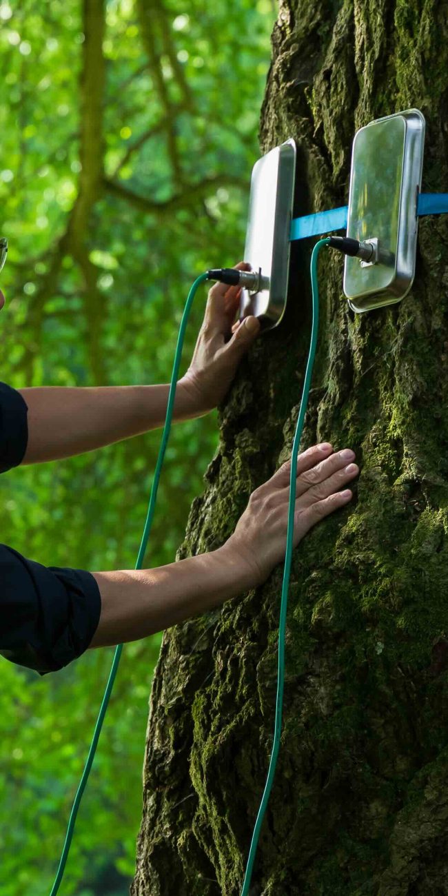 Tony Leung Chiu-Wai in SILENT FRIEND