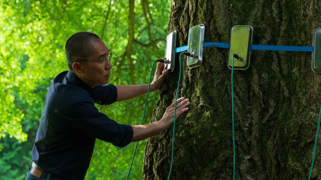 Tony Leung in SILENT FRIEND
