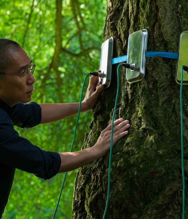 Tony Leung in SILENT FRIEND